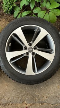 IMG_4423 2.jpeg