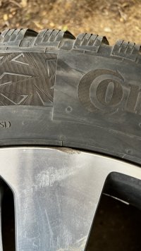 IMG_4426.jpeg