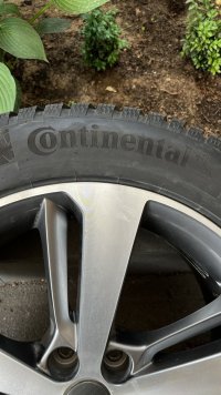 IMG_4429 2.jpeg