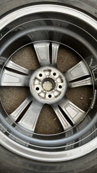 IMG_4432.jpeg