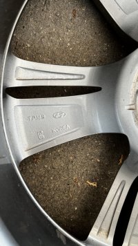IMG_4431 2.jpeg
