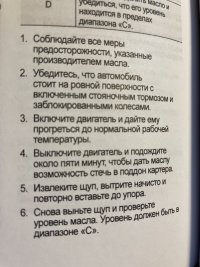 IMG-4648.jpg