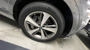 IMG_5804.jpeg