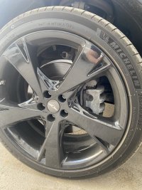 IMG_2165.jpeg