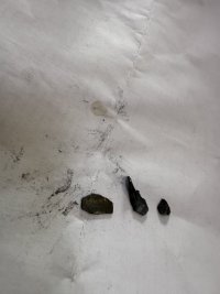 IMG_1857.jpeg