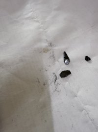 IMG_1856.jpeg