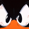 Angry Duck